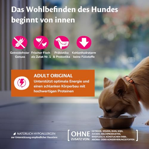 Wellness CORE Original 1,5 kg, Huhn & Truthahn – Hundefutter Trocken – Ansicht 4