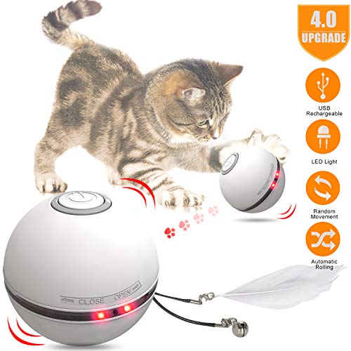 best interactive toys for cats