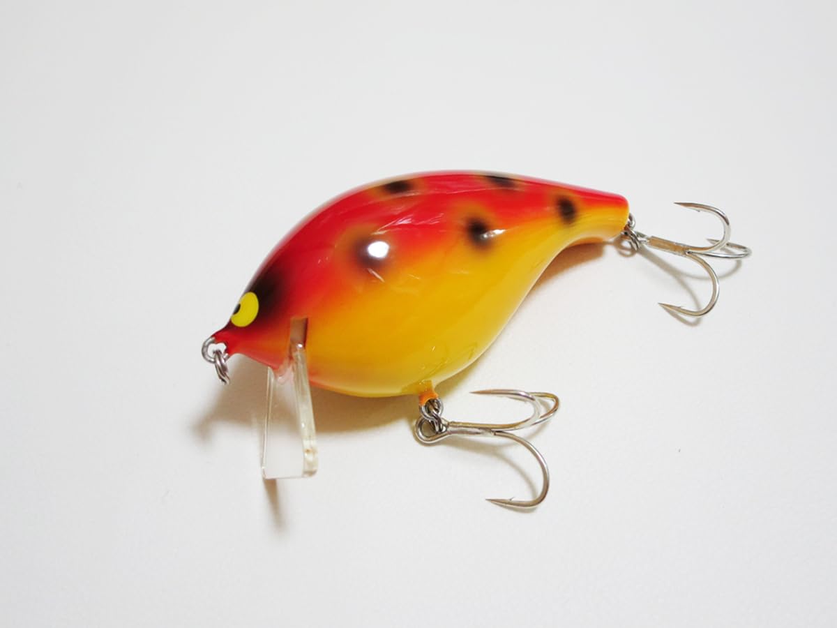 Amazon.co.jp: ガウラクラフト シェイクヒップ 初期生産品 1 : Home
