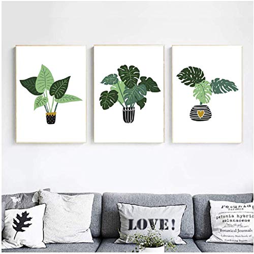 Affiche Monstera 50x70cm toile salon sans cadre style dessin animé