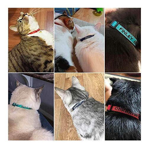 Brillianne Benutzerdefiniertes Breakaway Cat-Halsband, personalisiert mit Glocke, Sicherheitsverschluss, gesticktem ID-Namen am Kätzchenhalsband
