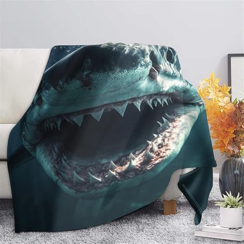Couverture plaid requin pour frissonner de plaisir au chaud