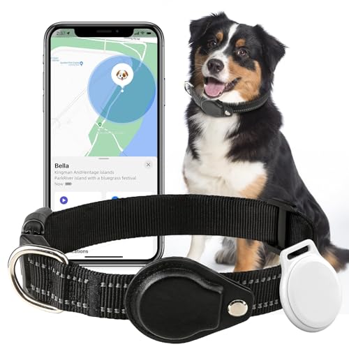 GPS