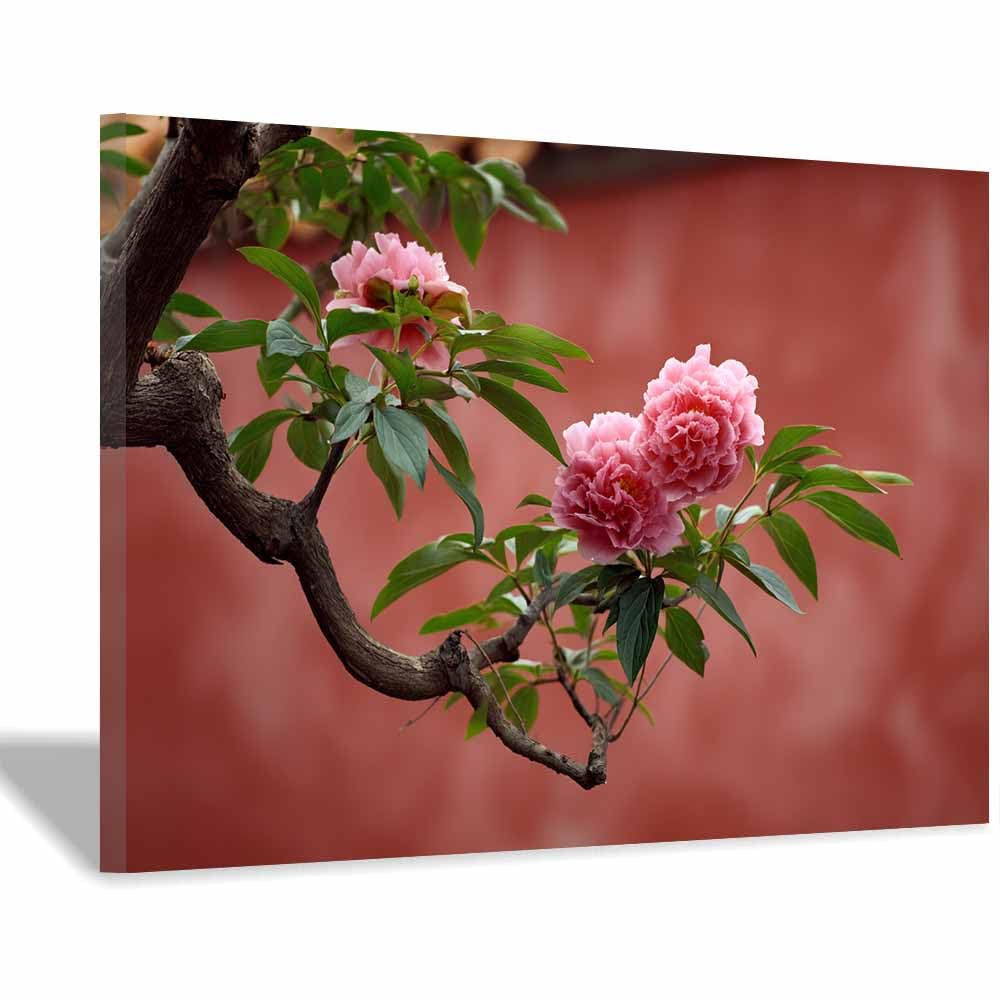 CUDAOO Semplice arte botanica Stampe su Canvas Peonia rosa per Camera da Letto Agriturismo Soggiorno Bagno(rosso)-60x90cm Incorniciato