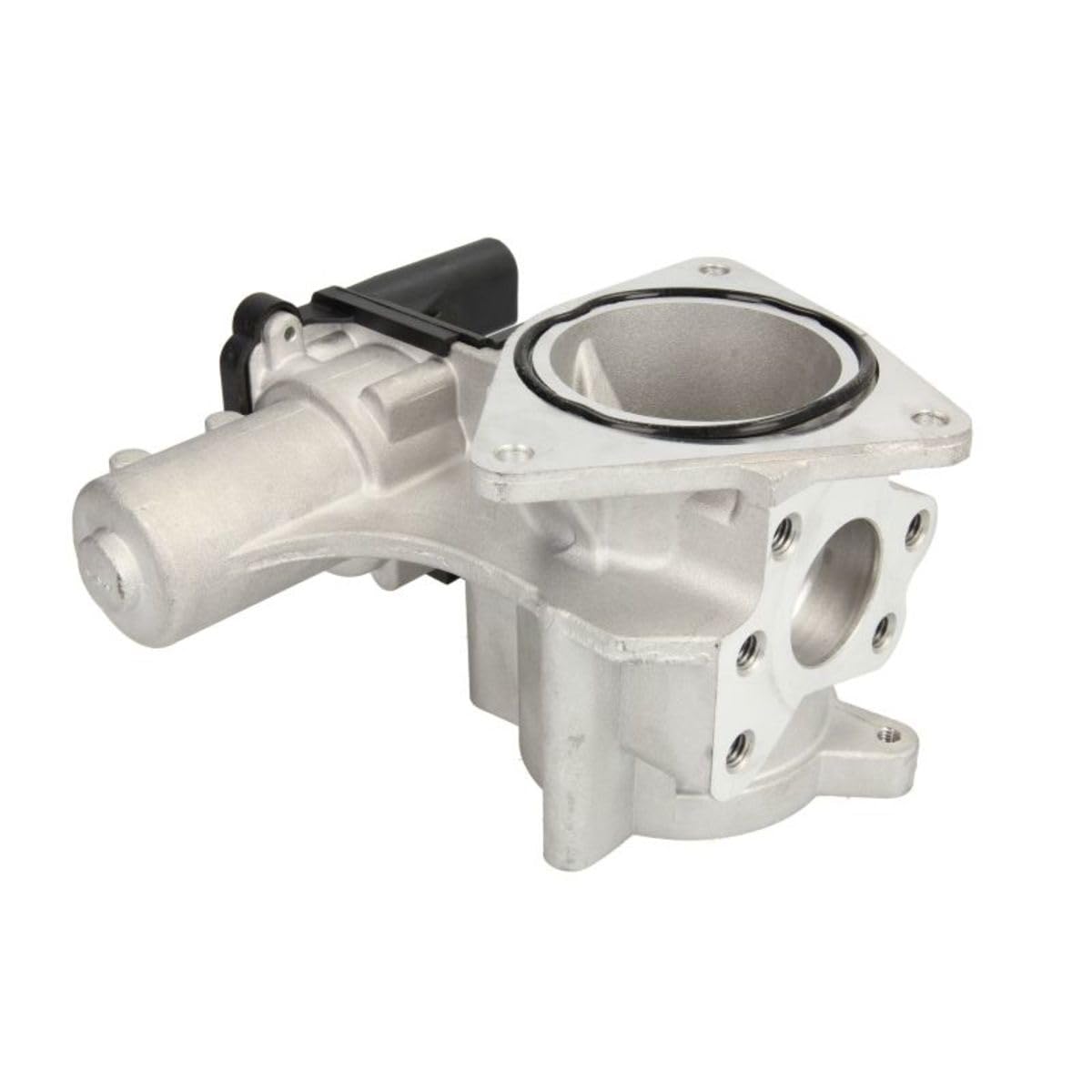 Magneti Marelli 571822112154 - AGR-Ventil : Amazon.de: Auto & Motorrad
