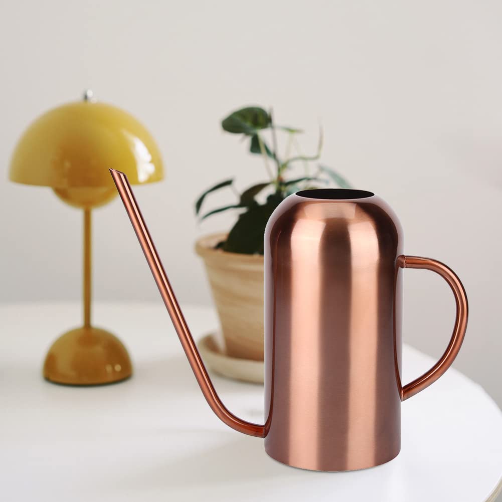Regadera de Acero Inoxidable de 1.5L, Regadera Retro de Boca Larga para Plantas Suculentas Herramienta de Jardín para Flores y Plantas de Interior y Exterior