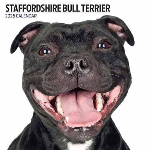 Staffordshire Bull Terrier 2026 - Calendario moderno