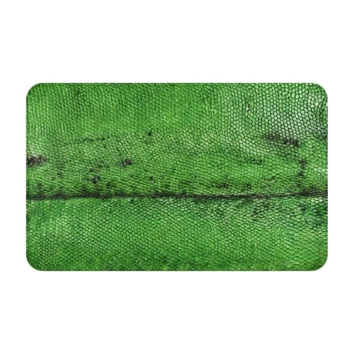 Green Snakeskin Print Living Room Bathroom Kitchen Anti Slip and Absorbent Carpet, Indoor Entrance Door Muddy Floor Mat, Ultra Soft Washable Carpet 21x31.5 Inches