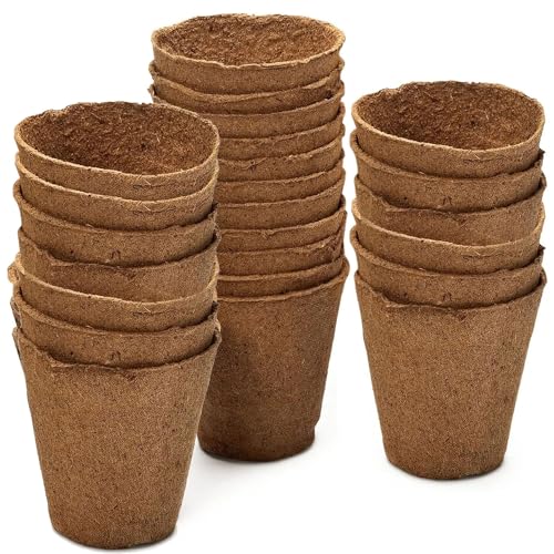 36 Fibre Seedling Pots 225ml - Starting Off Most Plants Flowers & Vegetables - Biodegradable and Naturally Strong