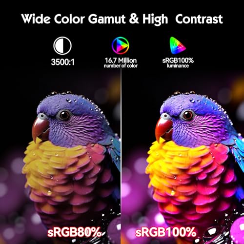 Image of CUNPU 24.5 Inch 1080P 300Hz Premium Gaming Monitor for FPS Gamers, AMD FreeSync & NVIDIA G-SYNC Compatible, 1ms MPRT VA Panel, HDR400, 100% sRGB, VESA 100x100mm