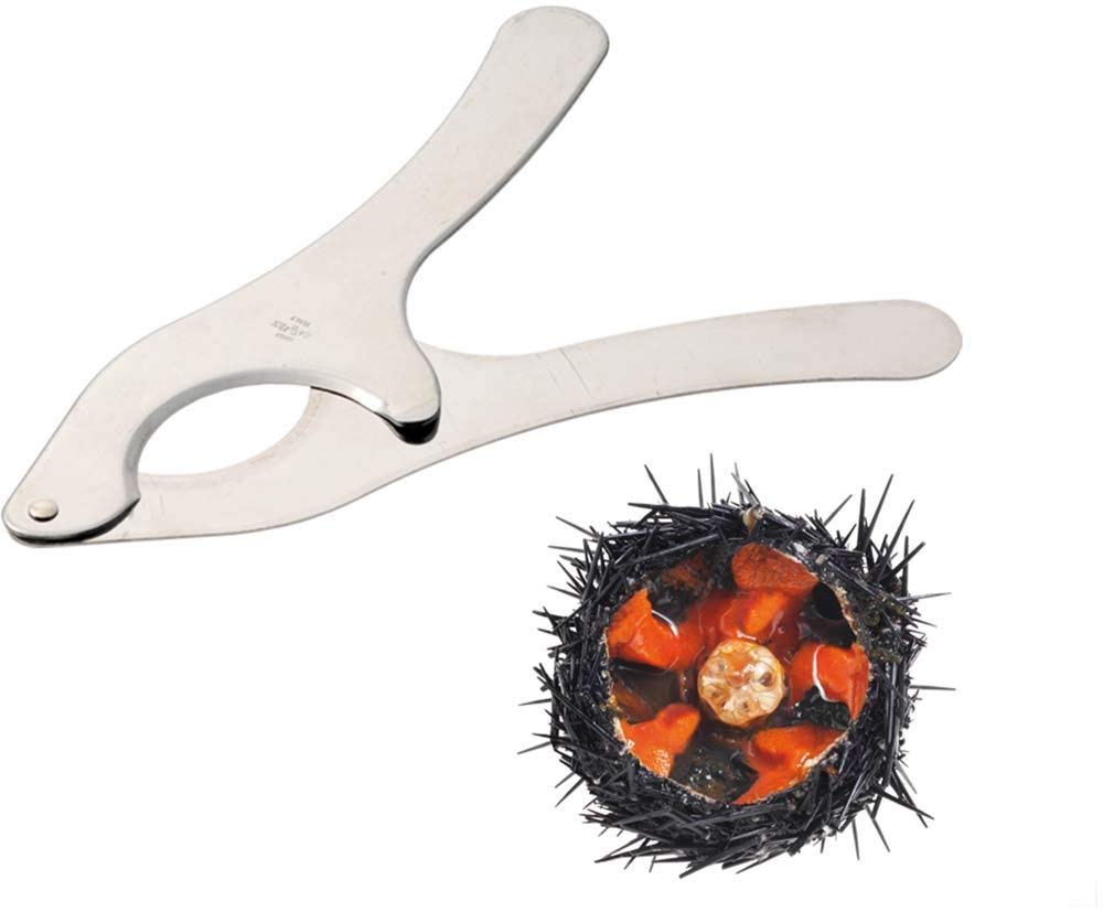 sapori di mare ebook