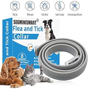 SEGMINISMART Collar Antiparasitos para Perro,Collar antipulgas y garrapatas para Perros y Gatos,Grandes contra Pulgas, Garrapatas y Mosquitos,Tamaño Ajustable e Impermeable