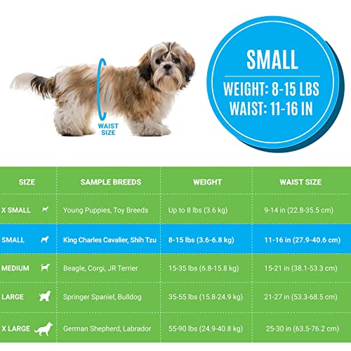 Image of Bodhi Dog Disposable Male Dog Diapers - Super Absorbent, Leak-Proof Pee Wraps - Adjustable Fit, Comfortable Design, Advanced Moisture Control, and Wetness Indicator - Small (20 Count) (Pack of 3)