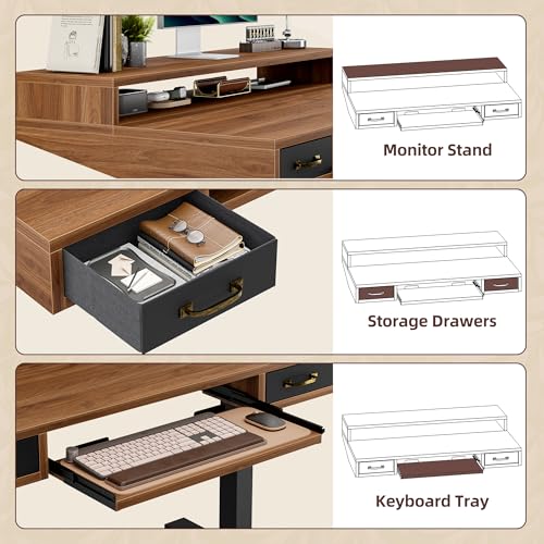 Image of TIQLAB Standing Desk with Two Drawers, Stand Up Standing Desk Adjustable Height, Electric Sit Stand Table with Storage Shelf and Splice Board, with LED Light, 55 * 28 inch, Black Walnut