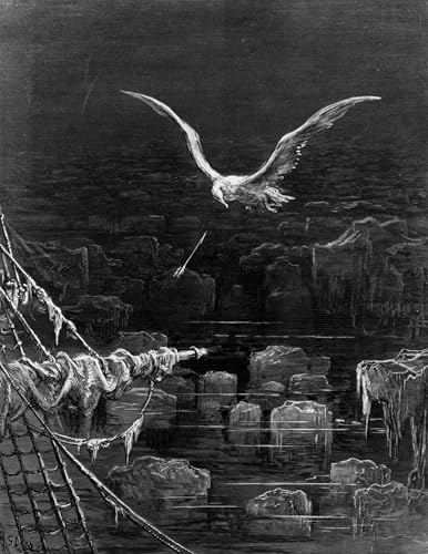 Images Peintures l'Albatros Gustave Doré d'une finition artistique remarquable