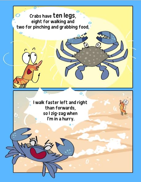Shrimp's Book of Fun Animal Facts: An Early Reader for Kids to Laugh and Learn about the Sea Creatures from Mermaid Reef! - Image 5