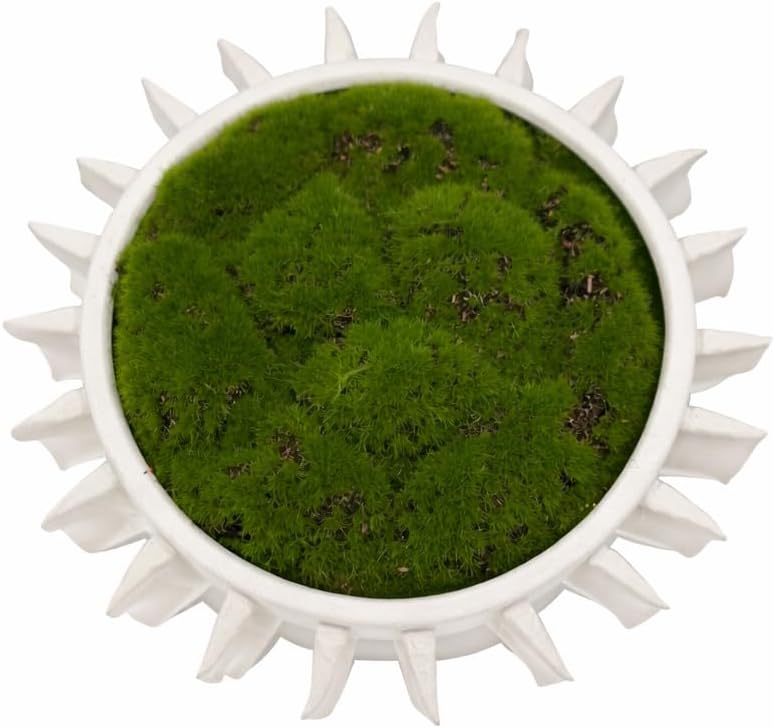 Ribbed Pedestal Moss Bowl | 9 Inch Textured White | Artificial Moss Centerpiece | Modern Decorative Bowl