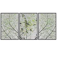 SIGNWIN Framed Canvas Wall Art Dandelion Canvas Prints Home Artwork Decoration for Living Room,Bedroom - 16