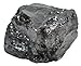 EISCO Bituminous Coal Specimen (Sedimentary Rock), Approx. 1