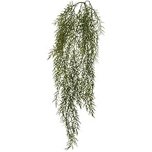 Vickerman Everyday 34" Artificial Green Dill Leaf Vine - Faux Indoor Plant Bush - Greenery for Home Or Office Decor - Maintenance Free - Decorative Plant Indoor