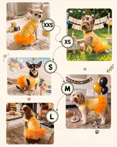 Image of CuteBone Yellow Happy Birthday Pet Tutu Dress - Crown Puppy Birthday Costume - Small Dog Clothes Cat Princess Party Outfit SRQ02L