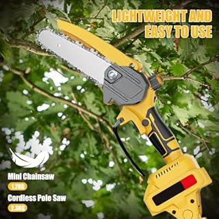 Elagueuse sur Perche sans Fil 21V, Tronçonneuse à Batterie 6 Pouces avec 2× 2.0Ah Batteries, Moteur Brushless, Perche Élagueuse Électrique 2 en 1, Extension jusqu'à 5 m, pour Branches et Jardin