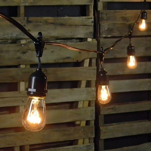 Amazon.com: Commercial Edison Drop String Lights, 100 Foot Black Wire ...