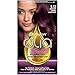 Garnier Olia Bold Ammonia Free Permanent Hair Color (Packaging May Vary), 5.12 Medium Royal Amethyst, Purple Hair Dye, Pack of 1