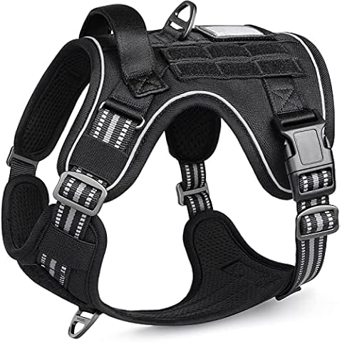 Arnes Perro Antitirones rabbitgoo Cover