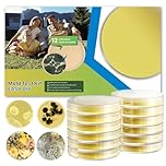 Mold Test Kit for Home - DIY Mold Test Kit for Indoor Air and Household Surface Detection, Includes Detailed Mold Identification Guide and Free Lab Analysis - 6 Detection Tests (12)