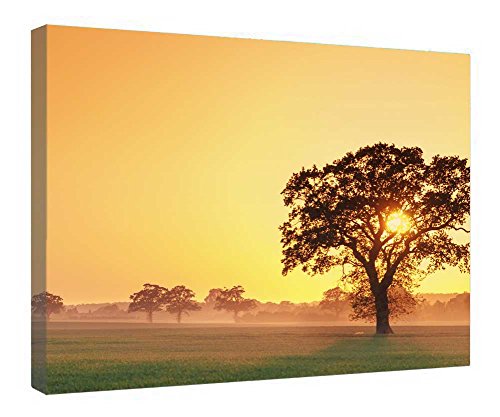 Impression sur toile encadrée bois lever de soleil brumeux tableau mural 40x50