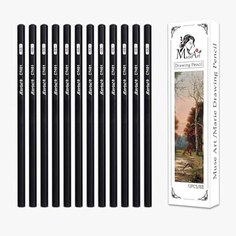 Professional Drawing Sketching Pencil Set - 12 Pieces,Graphite,(2B/4B/6B/8B), Ideal for Drawing Art, Sketching, Shading, Artist Pencils for Beginners & Pro Artists (12pcs 8B) Cover