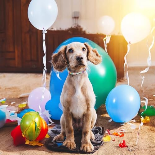 Personalisierte Perlen Hundehalsband, benutzerdefinierte Haustier-Schmuck Candy Farbe Hundehalsband mit Namen, Freundschaft Armband Geschenk für Hunde, Katzen, Haustiere
