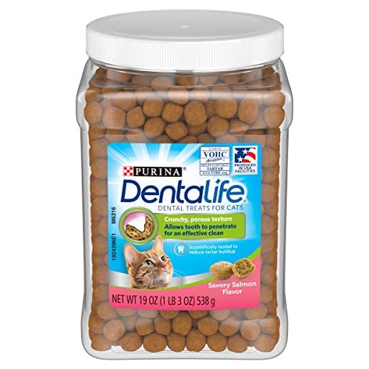 Purina Cat Dental Treats Canister