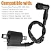 QAZAKY Ignition Coil Compatible with Yamaha Bear Tracker 250 Trail Boss 330 YFM350 Warrior Big Bear Raptor TTR125 ATC185S ATC200 ATC200ES ATC200S