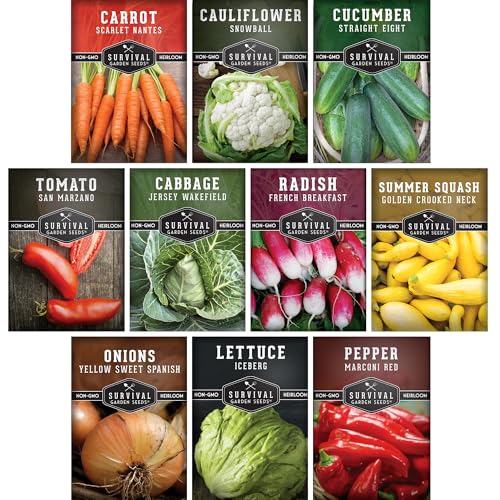 Vegetable Seeds for Planting 10 Variety Pack – Heirloom Garden Seed Packs to Grow Tomato, Lettuce, Onion, Cucumber, Squash & Other Vegetables – Non-GMO Family Garden Kit – Survival Garden Seeds