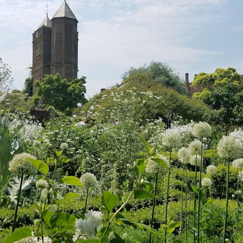 Season 4 Episode 1 &ndash;with Penn State Extension Educator Ruth Benner and Dr. Margaret Hoffman, Program Coordinator for Penn State University&rsquo;s Landscape Contracting Major, Associate Professor