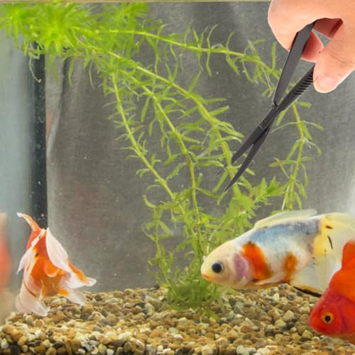 Image of POPETPOP Aquarium Scissors for Plants Water Grass Trimmer Professional Fish Tank Scissor Curved Spring Action Tool for Aquascaping Small Thin Aquatic Plant Trimming 6.10 Inch