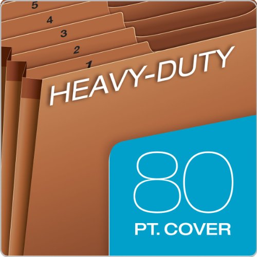 Globe-Weis/Pendaflex Heavy Duty 31-Pocket Expanding File With Flap, 1-31 Index, Letter Size, Brown, (R117Dlhd) #TOP2