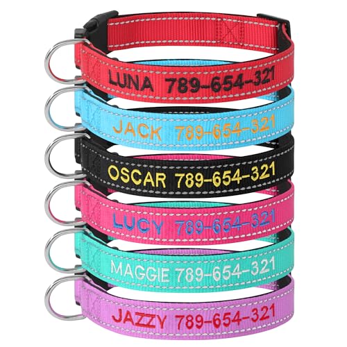 Collar personalizado para perro con nombre bordado y cierre de hebilla