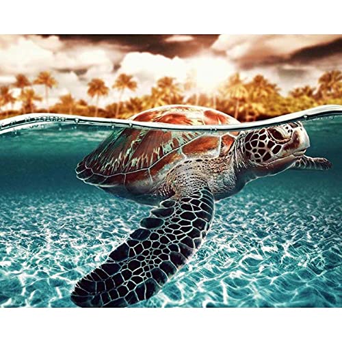 Kit de broderie point de croix tortue de mer facile pour apprendre la broderie sans compter