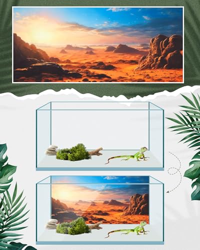 Image of Breling 4 Pcs 30 x 11.8 Inch Reptile Habitat Background with Nano Glue Gobi Sun Cactus Stone and Green Tree Fern Stream Terrarium Background Polyester Durable Aquarium Accessories