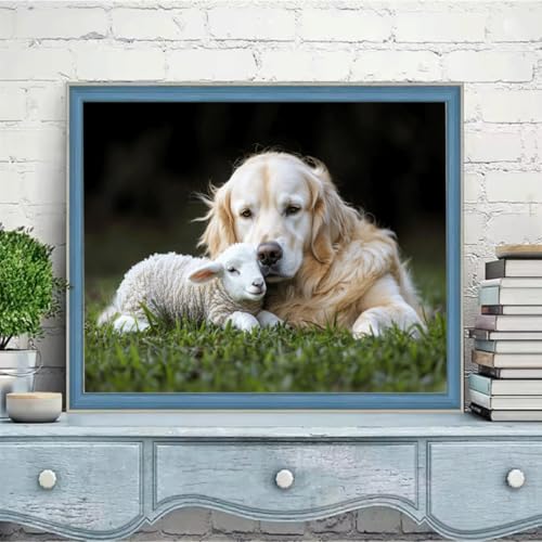 G ? yCgoCio[Lbg lqp r  yCgoCio[Lbg qp uV/ANyCg zIDiy擅 H?? ? ???? z[EH[fR[Vp ւ̃Mtg 50x60cm w6t-4