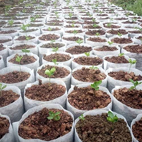 100 Pezzi di Diverse Dimensioni vasi per piantine in Tessuto Non Tessuto biodegradabili Borse per piantare ecologiche Borsa per vivaio Borse per Coltivazione di Piante per Giardino, 32x34 cm