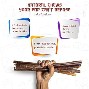 Bully Sticks for Dogs, 6 inch Premium Best Bully Sticks., 100% Beef Chews, Grass-fed, Grain and Rawhide Free. (6 inch 6 Pieces Bully Sticks) Bully Sticks for Dogs, 6 inch Premium Best Bully Sticks., 100% Beef Chews, Grass-fed, Grain and Rawhide Free. (6 inch 6 Pieces Bully Sticks)