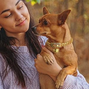 18K Gold Dog Collar 14mm Metal Stainless Steel with Cubia Zirconia Lock Dog Luxury Training Collar Cuban Lock Link Necklace Chain 14 inch