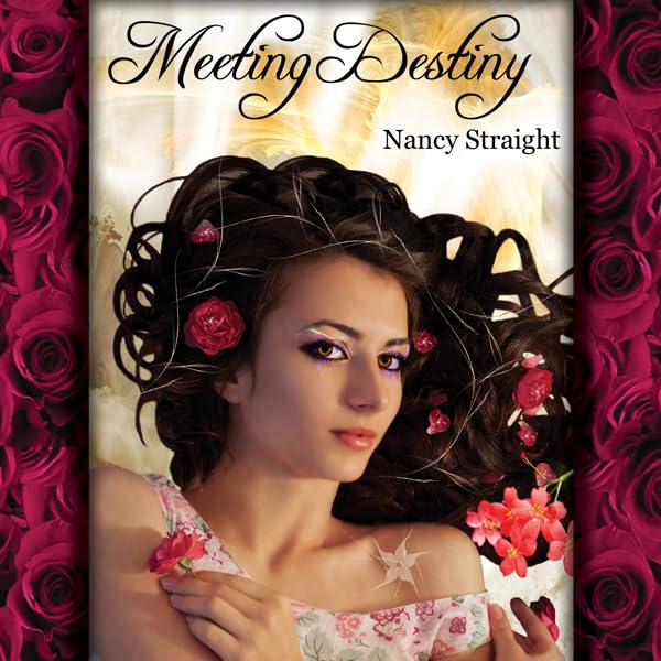 Cover art for Meeting Destiny