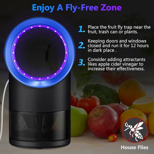 Image of Fruit Fly Trap for Indoors, Fly Traps for Home Gnat Traps House Indoor, Indoor Insect Trap with Timer, Pack of 10 Refills (Blue)