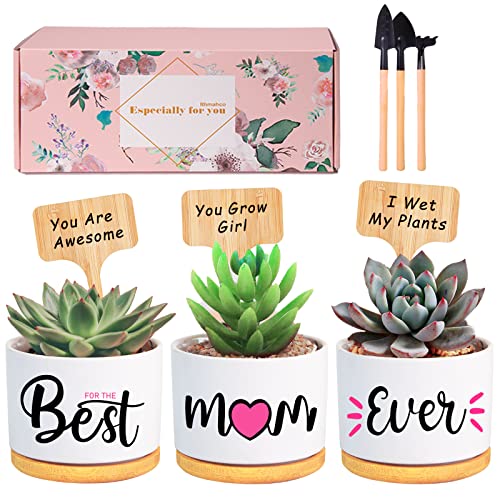 Product Image of the Ithmahco Valentines Gifts for Mom From Daughter, Mothers Birthday Gift Box, Present for Wife Grandma Mother In Law, Happy Birthday Mom Gifts From Son, Best Mom Gift in New Year/Valentine's Day