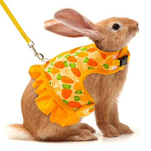 Are Rabbit Harnesses Cruel? Safe or Not?